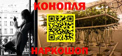 соль курить ск Бердск