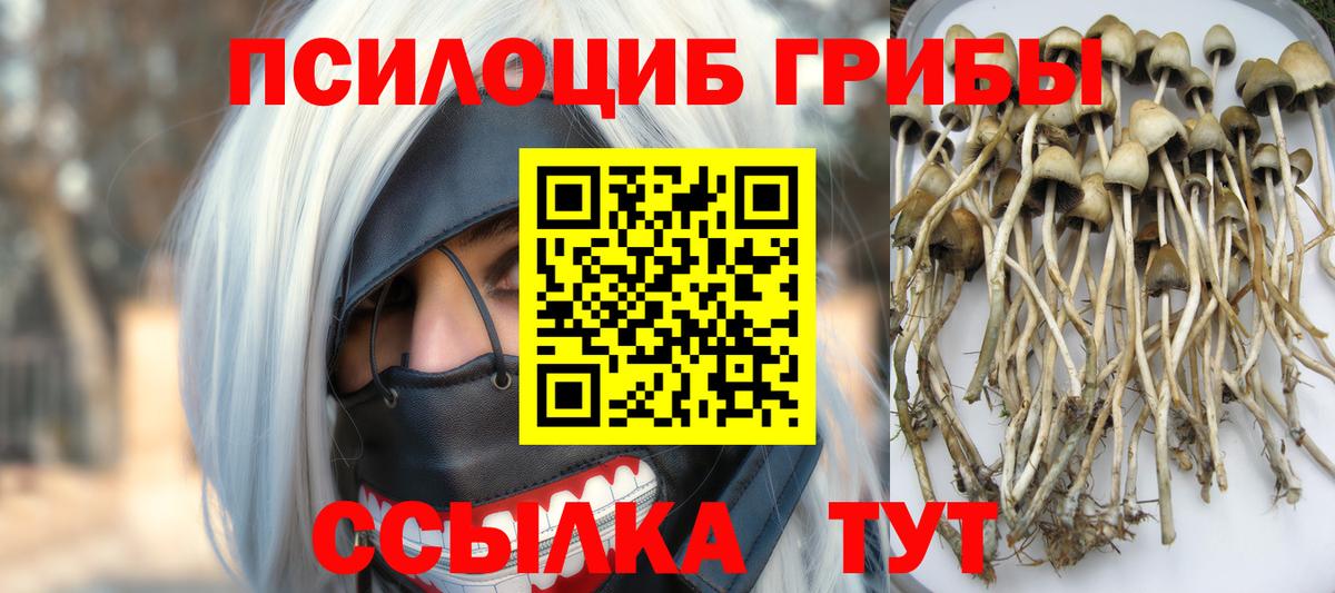 Галлюциногенные грибы Magic Shrooms  Вход с VPN  Дивногорск 